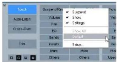 Touch Auto-Latch Cross-Over Title Suspend Run Volume Pan EQ Sends Inserts Mute Others Suspend Show Settings Show AI Dipout Setup... Use Hold Use