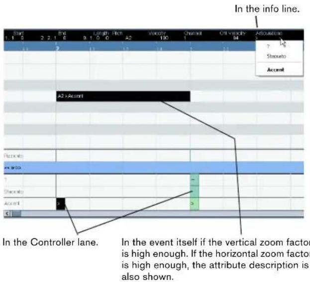 In the info line. Start 1.1 0 2.2.1 6 Length Pitch A2 Velocity 100 Channel Off Velocity 94 Annotation 7 Stoneto Accent A2 >Accent In the Controller lane. In the event itself if the vertical zoom factor is high enough. If the horizontal zoom factor is high enough, the attribute description is also sh…