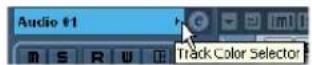 STEINBERG Cubase 5 - Applying track colors manually - 2