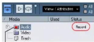 View / Attributes Media Used Status Audio Recond Video Trash