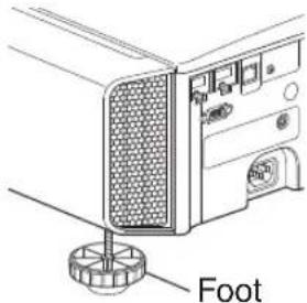 Foot