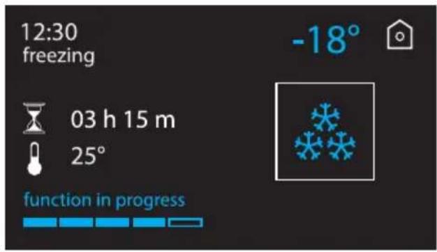 12:30 freezing 03 h 15 m 25° function in progress -18°