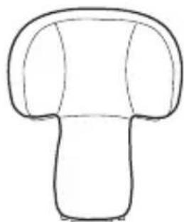 Simple line drawing of a mushroom shape with no text or symbols