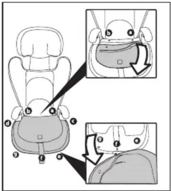 Diagram illustrating insect anatomical parts with numbered labels and directional arrows indicating movement or movement.