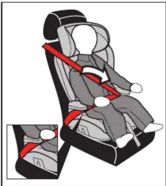 Illustration of a person seated in a car seat with a red belt, showing seatbelting and seatbelting details (no text or symbols)