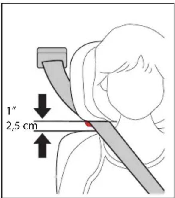 1" 2,5 cm