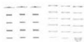 TRENDNET TV-IP314PI - Package Contents - 2