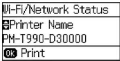 Стан Wi-Fi/мережі Назва принтера PM-T990-D30000 OK Друк