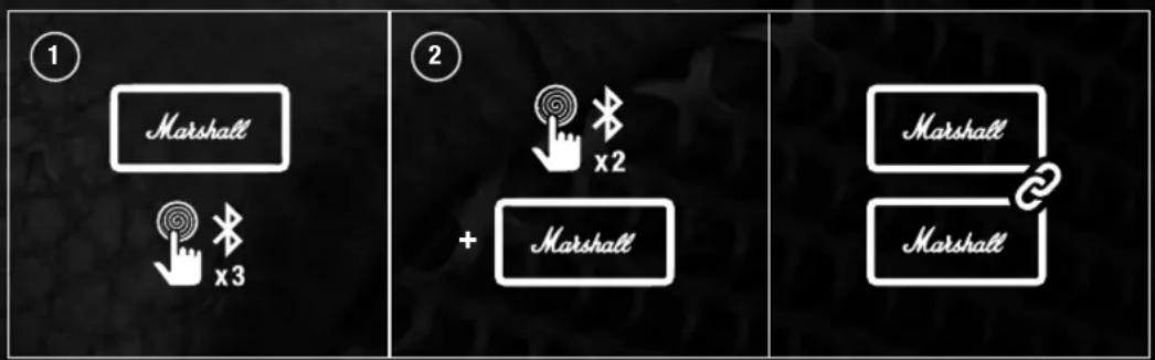 ① Marshall x3 ② + Marshall Marshall