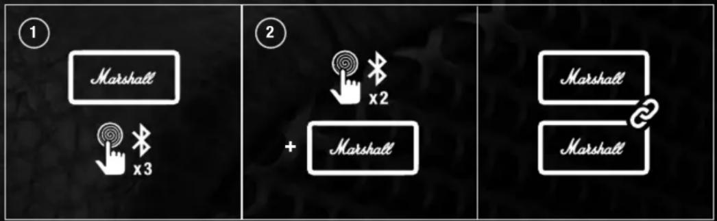 ① Marshall x3 ② + Marshall Marshall