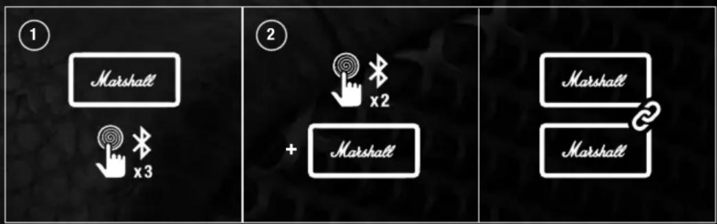① Marshall x3 ② + Marshall Marshall