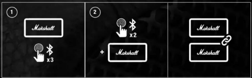 ① Marshall x3 ② + Marshall Marshall