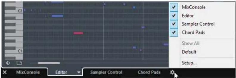 MixConsole Editor Sampler Control Chord Pads Show All Default Setup... MixConsole Editor Sampler Control Chord Pads