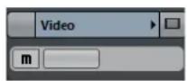 STEINBERG Cubase Elements 9.5 - Video Track Inspector - 1