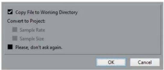 Copy File to Working Directory, Convert to Project: Sample Rate, Sample Size, Please, don't ask again. OK Cancel