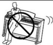 KAWAI KDP75 - WARNING - 6