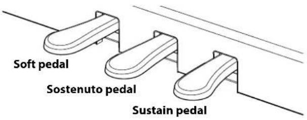 Soft pedal Sostenuto pedal Sustain pedal