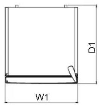 D1 W1
