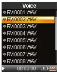 Voice RVI0001.WAV RVI0002.WAV RVI0003.WAV RVI0004.WAV RVI0005.WAV RVI0006.WAV RVI0007.WAV RVI0008.WAV 00:03:00