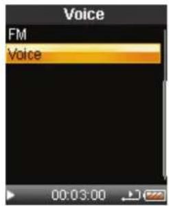 Voice FM Voice 00:03:00