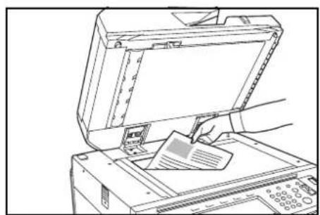 OLIVETTI d-Copia 600 - Loading Originals on the Platen - 3