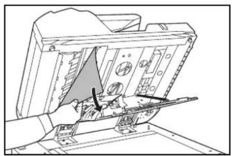 OLIVETTI d-Copia 600 - Document Processor - 9