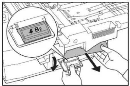 B2
