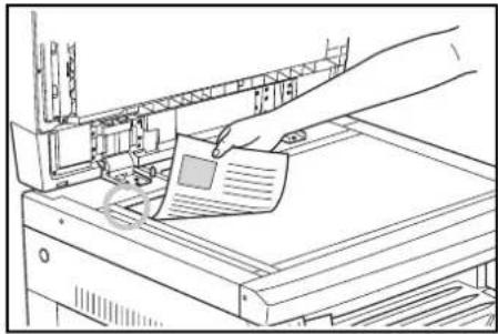 OLIVETTI d-Copia 16MF - Placing Originals on the Platen - 1