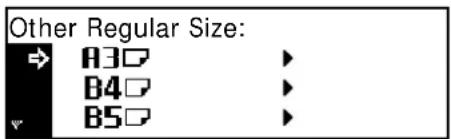 Other Regular Size: R3 B4 B5