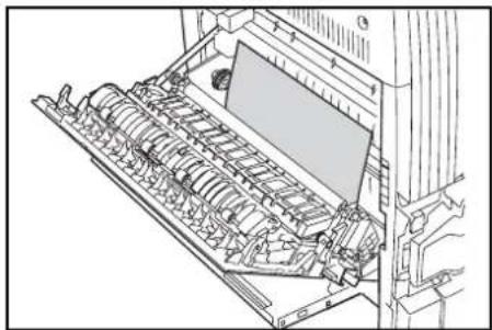 OLIVETTI d-Copia 16MF - Left Cover - 4