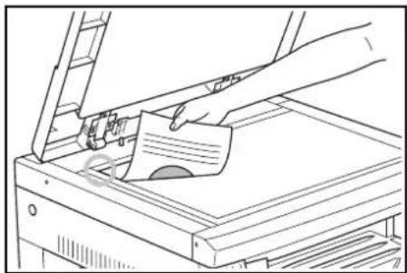 OLIVETTI d-Copia 16MF - Basic Copying Procedure - 2