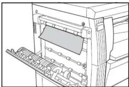 OLIVETTI d-Copia 16MF - Optional Job Separator - 4