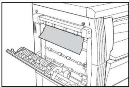OLIVETTI d-Copia 16MF - Paper Output Slot - 4
