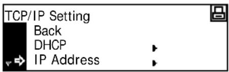 TCP/IP Setting Back DHCP IP Address
