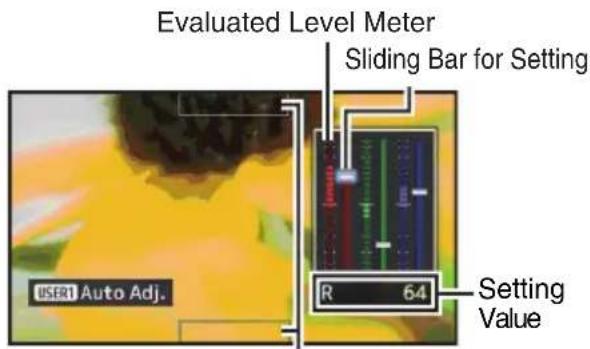 Evaluated Level Meter Sliding Bar for Setting R 64 Setting Value USER1 Auto Adj.