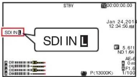 STBY 10:00:00:00.00 SDI IN Jan 24, 2014 12:34:56 AM VD 5.6ft ND 1/64 AE+6 A 0 ds F1.6 P<13000K> 1/100