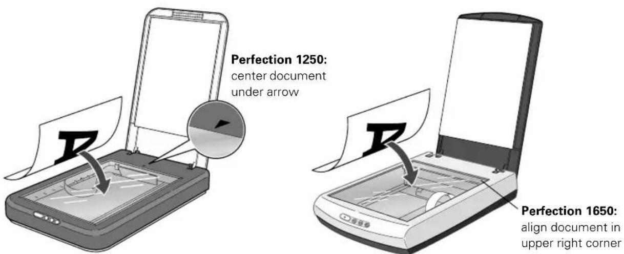 Perfection 1250: center document under arrow. Perfection 1650: align document in upper right corner.