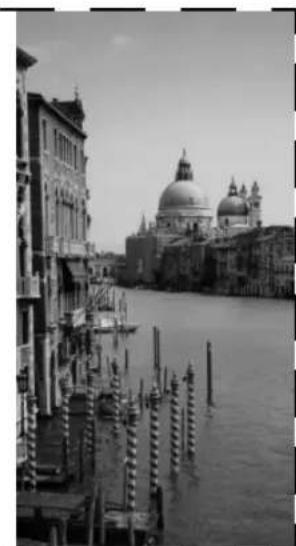 Black-and-white photo of a Venetian canal with historic buildings and a prominent dome, no visible text or signage.