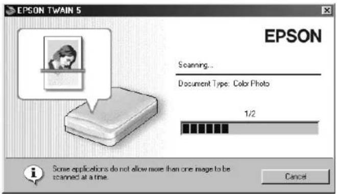 EPSON TWAIN 5. EPSON. Scanning... Document Type: Color Photo. 1/2. Some applications do not allow more than one image to be scanned at a time. Cancel.