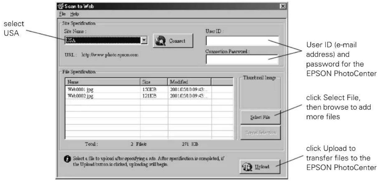 Scan to Web File Help Site Specification Site Name: USA Connect User ID: URL: http://www.photo.epson.com Connection Password: User ID (e-mail address) and password for the EPSON PhotoCenter File Specification Name Size Modified Web:0001.jpg 150KB 2001.05/10.09.43... Web:0002.jpg 121KB 2001.05/10.09.…