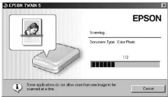 EPSON TWAIN 5. EPSON. Scanning... Document Type: Color Photo. 1/2. Some applications do not allow more than one image to be scanned at a time. Cancel.