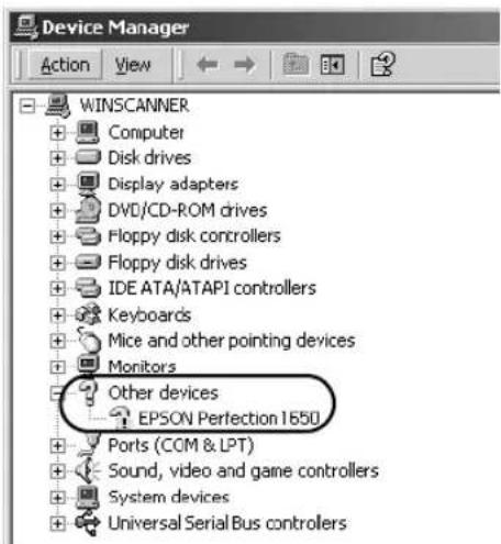 Device Manager. Action View. WINSCANNER. + Computer. + Disk drives. + Display adapters. + DVD/CD-ROM drives. + Floppy disk controllers. + Floppy disk drives. + IDE ATA/ATAPI controllers. + Keyboards. + Mice and other pointing devices. + Monitors. + Other devices. - EPSON Perfection 1650. + Ports (CO…