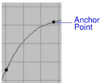 Anchor Point