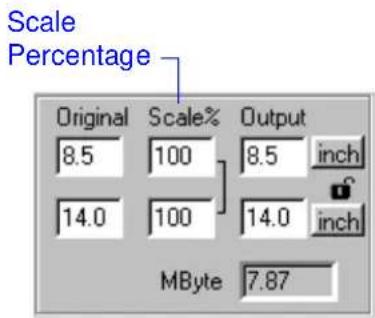 Scale Percentage Original Scale% Output 8.5 100 8.5 inch 14.0 100 14.0 inch MByte 7.87