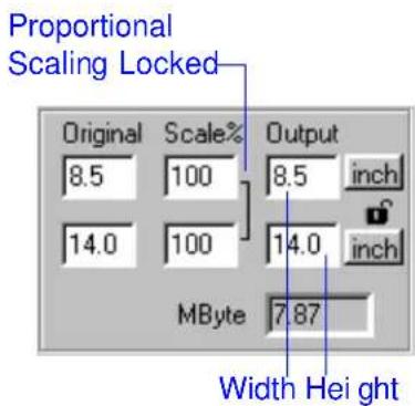Proportional Scaling Locked Original Scale% Output 8.5 100 8.5 inch 14.0 100 14.0 inch MByte 7.87 Width Height
