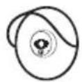 Fibaro FGIC-001 - 4.3: Choosing location - 1