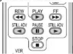 REW STILL ADV PLAY PAUSE STOP FF STILL ADV VER