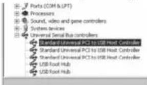 Ports (COM & LPT) Processors Sound, video and game controllers System devices Universal Serial Bus controllers Standard Universal PCI to USB Host Controller Standard Universal PCI to USB Host Controller Standard Universal PCI to USB Host Controller USB Root Hub USB Root Hub