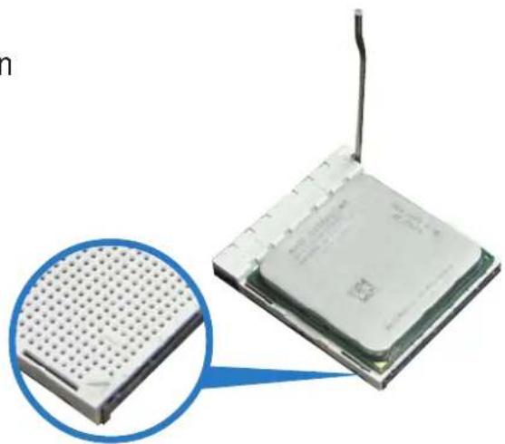 Close-up of a microprocessor with a grid-patterned base and an attached circuit board (no visible text or symbols)