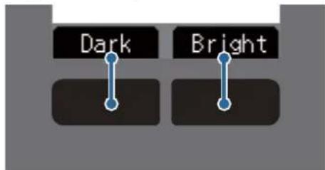 Dark Bright